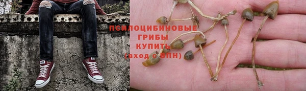 прущий лед Карталы