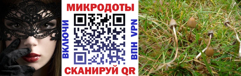 Галлюциногенные грибы мухоморы  Камышин 